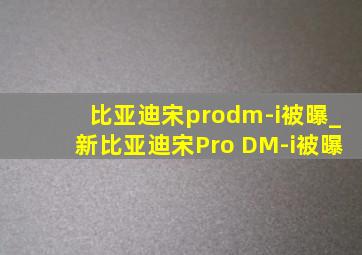比亚迪宋prodm-i被曝_新比亚迪宋Pro DM-i被曝